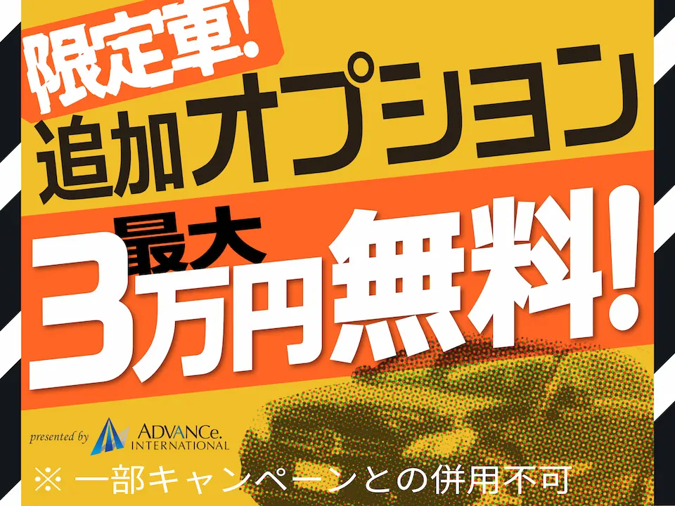限定車 追加オプション最大3万円無料
